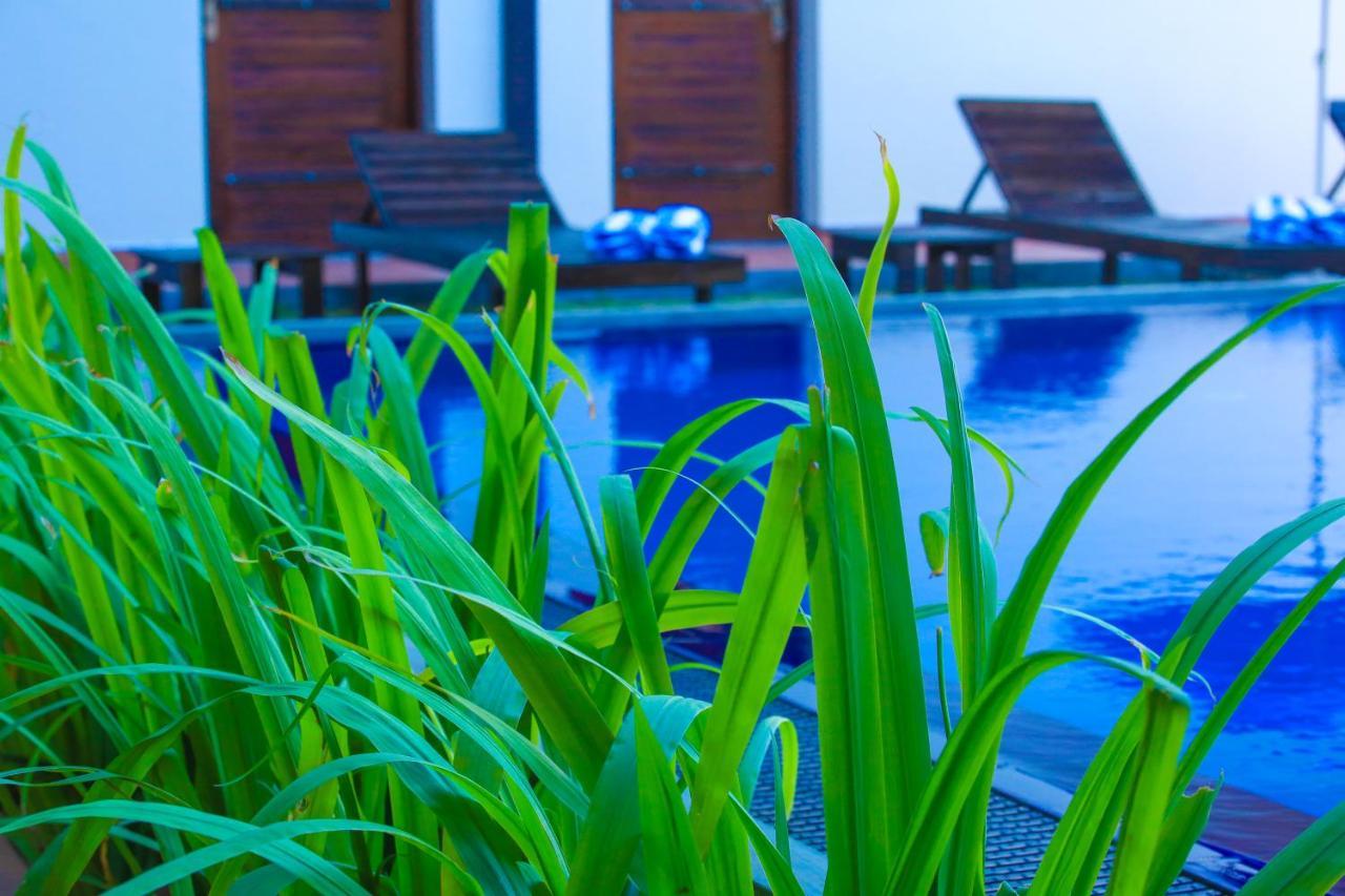 Ali Weta Safari Resort Udawalawe Bagian luar foto